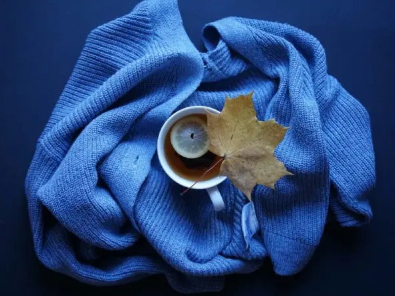 ivanka-krochak-3n8bj9w-ums-unsplash.webp__680x453_q85_crop_subsampling-2_upscale